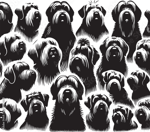 Briard Dog in Black and White – Elegant French Herding Breed Photography