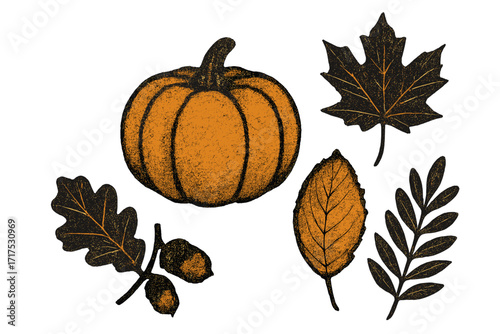 Autumn elements set with pumpkin, herbarium leaves. Grunge fall collection with stippling and grainy photocopy effect. Y2k retro style vector illustration for seasonal design.