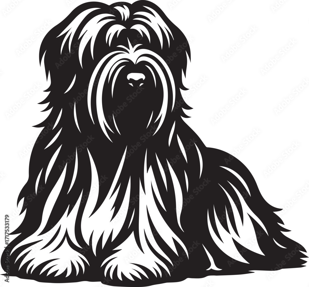 Fototapeta premium Briard Dog in Black and White – Elegant French Herding Breed Photography