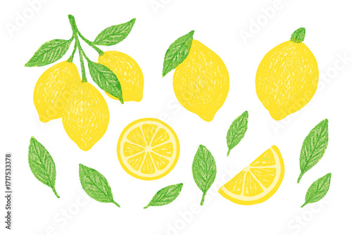 Lemon fruit vector illustration set. Hand drawn citrus collection with pencil texture. Isolated elements: whole lemon, slice, leaf, branch. Fresh summer food doodle concept.