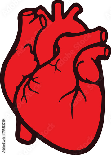 illustration of heart representing human anatomy stands out against white backdrop, symbolizing health, vitality, and the complex workings of the cardiovascular system.