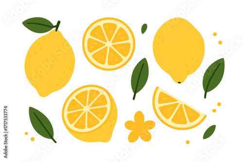 Fresh lemon fruit elements set with whole lemons, lemon slices, green leaves, yellow flower, organic summer citrus, detox juice concept, hand-drawn vector flat illustration