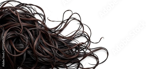A tangled mass of dark brown human hair sits on a pristine white background, hair,   white backdrop