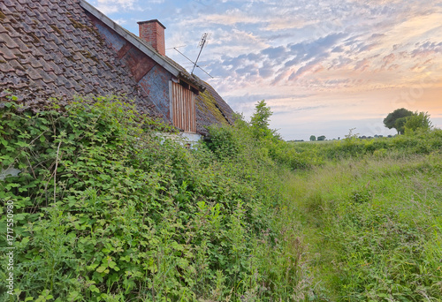 Very old dilapidated Danish farm house abandoned many years ago in the green countryside on a summer evening
