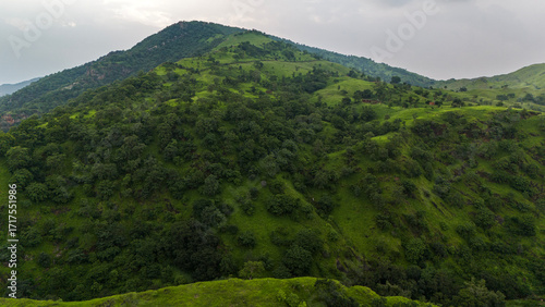 Aerial photo of lush green Aravalli hills in Alsigarh, Udaipur, Rajasthan, during the monsoon season at evening, with dense trees, dramatic clouds in the sky, and the sun partially hidden behind them.
