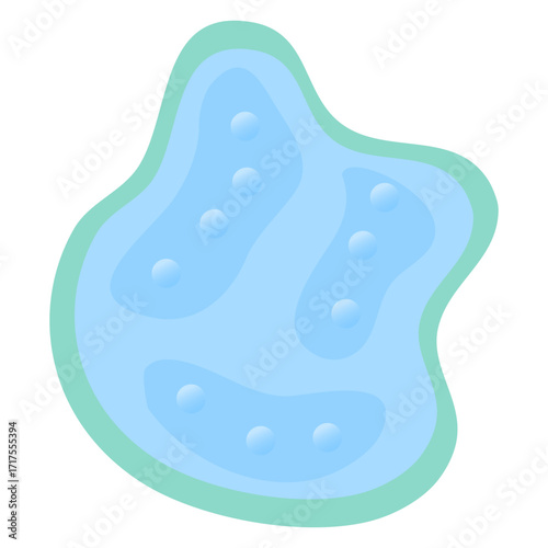 Vacuole structure anatomy, diagram poster. Medical illustration vector. Labeled tonoplast, central vacuole, cell sap. Membrane-bound organelle. Vacuole Illustration