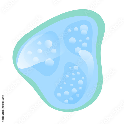 Vacuole structure anatomy, diagram poster. Medical illustration vector. Labeled tonoplast, central vacuole, cell sap. Membrane-bound organelle. Vacuole Illustration