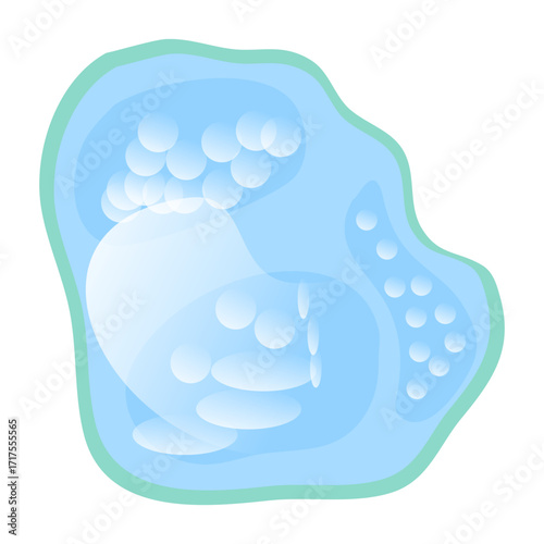 Vacuole structure anatomy, diagram poster. Medical illustration vector. Labeled tonoplast, central vacuole, cell sap. Membrane-bound organelle. Vacuole Illustration