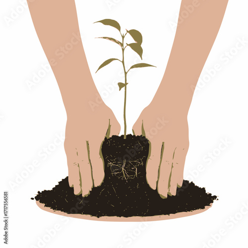 Hands gently planting a young seedling, nurturing growth and cultivating a sustainable future