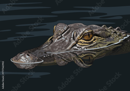 Detailed Illustration of a Wild Alligator's Head and Striking Eyes in Dark Water