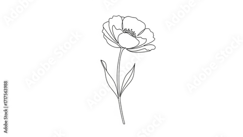 Elegant line drawing of a single flower with delicate petals and leaves on a minimalist background