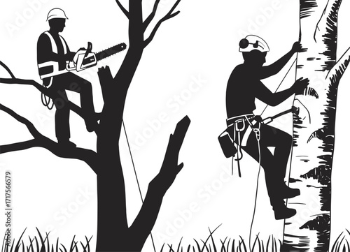 Silhouette of tree surgeons cutting branches with chainsaw, arborist workers climbing tree, forestry maintenance, rope safety, professional logging service