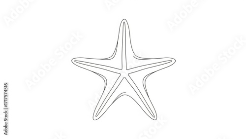 Outline of a starfish illustration on a white background, ideal for educational or decorative use