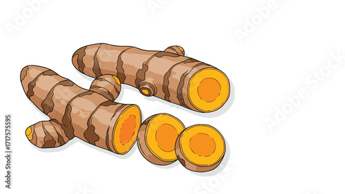Organic Farming Techniques in a Vibrant Agricultural Field Illustration