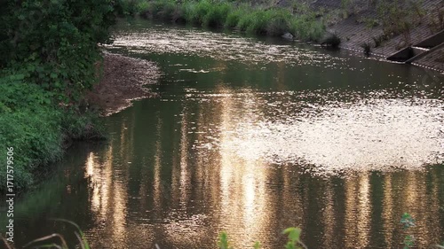 秋の夕暮れの水辺
