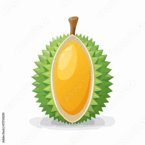 Tropical durian fruit illustration with green thorn shell. Perfect for exotic food and Asian fruit design.
