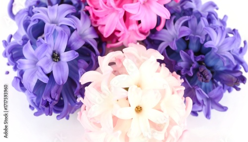 Close-up of vibrant hyacinth flowers