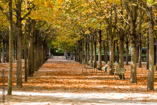 autumn in the park
