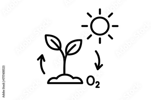 Photosynthesis line icon with plant and sun. Vector illustration of the natural energy exchange process. Concept for plant biology, sustainability, environment, and ecology.