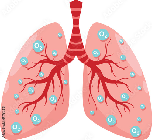 Human Lungs with Oxygen Symbols - Respiratory System Anatomy
