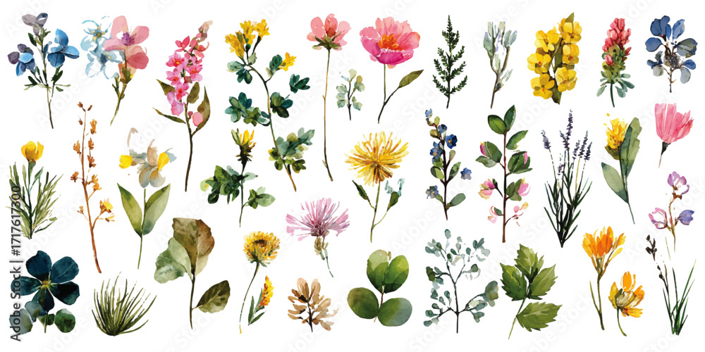 Obraz premium Colorful Watercolor Flower Patterns & Decorative Elements