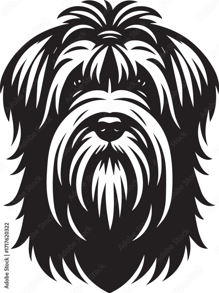 Fototapeta premium Briard Dog in Black and White – Elegant French Herding Breed Photography