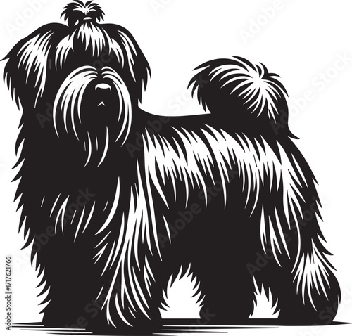 Briard Dog in Black and White – Elegant French Herding Breed Photography