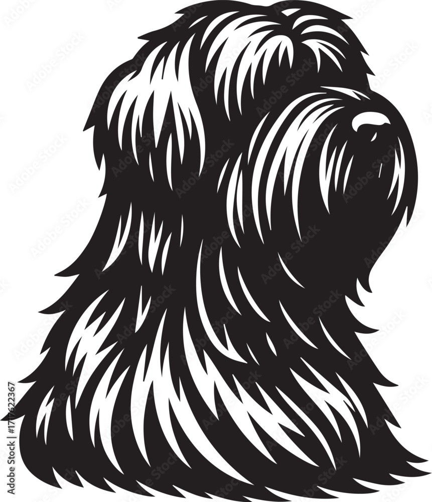 Fototapeta premium Briard Dog in Black and White – Elegant French Herding Breed Photography