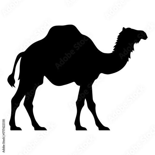 Silhouette of a dromedary camel standing in profile with its distinctive hump visible against white backdrop
