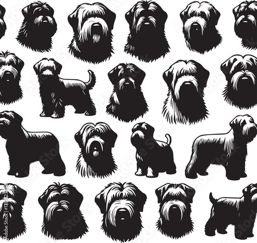 Briard Dog in Black and White – Elegant French Herding Breed Photography