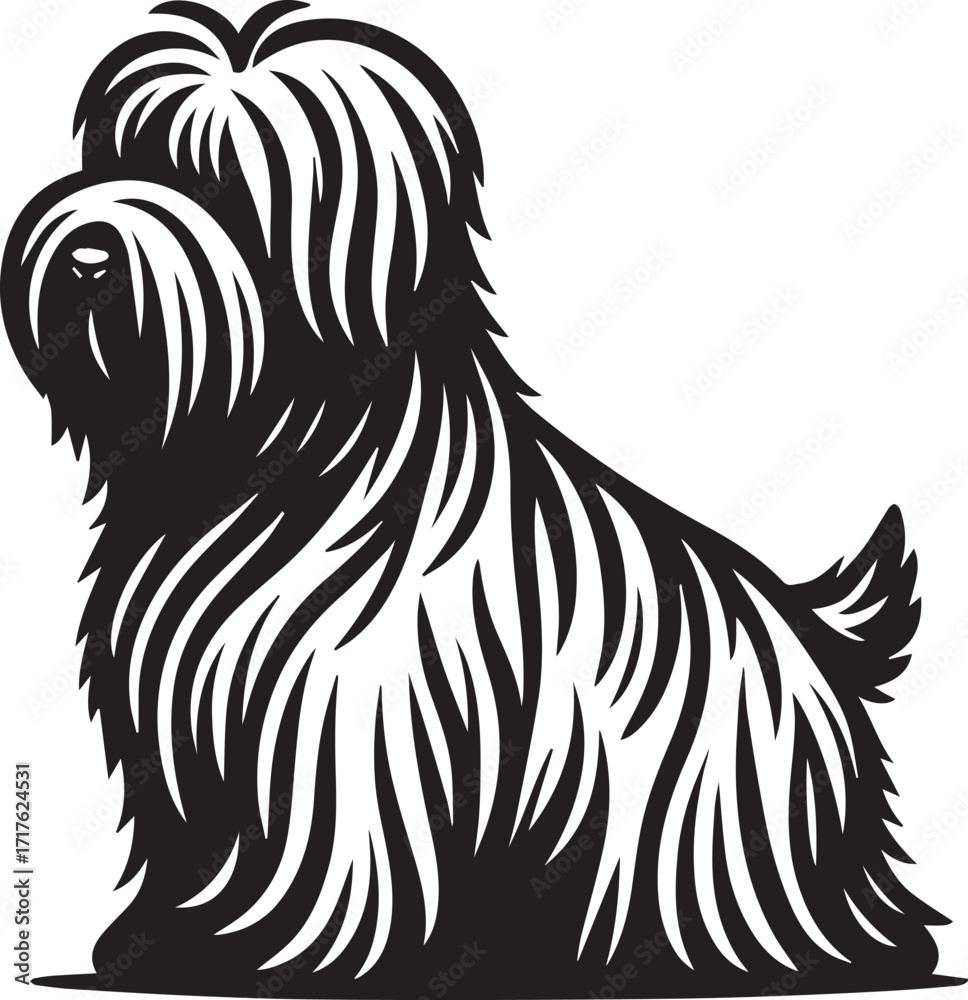 Fototapeta premium Briard Dog in Black and White – Elegant French Herding Breed Photography