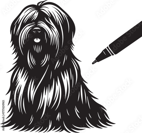 Briard Dog in Black and White – Elegant French Herding Breed Photography