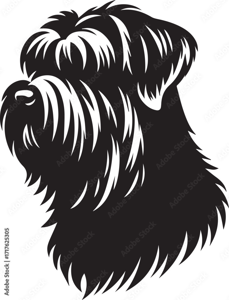 Fototapeta premium Briard Dog in Black and White – Elegant French Herding Breed Photography