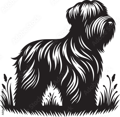 Briard Dog in Black and White – Elegant French Herding Breed Photography