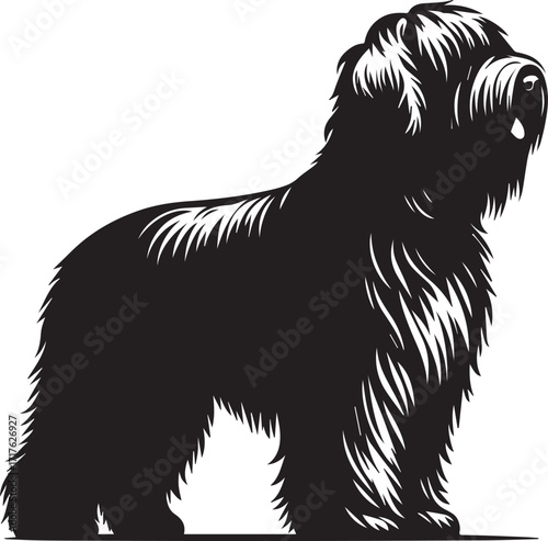 Briard Dog in Black and White – Elegant French Herding Breed Photography