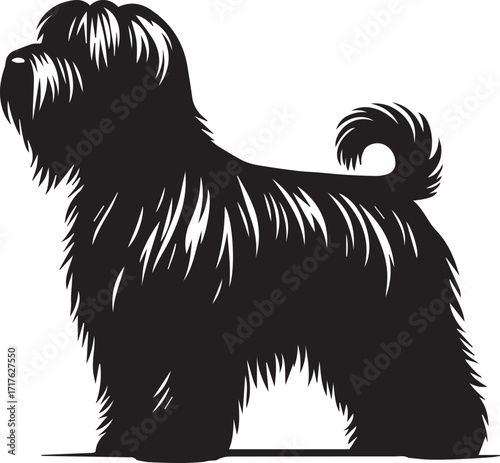 Briard Dog in Black and White – Elegant French Herding Breed Photography