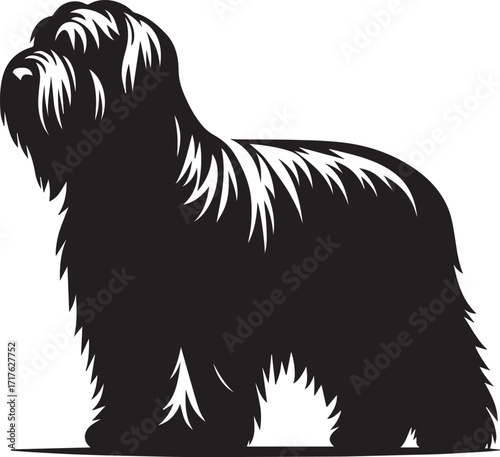 Briard Dog in Black and White – Elegant French Herding Breed Photography
