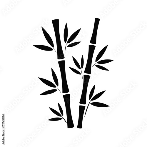 Stylized black and white bamboo plant illustration vector graphic for eps download silhouette vector illustration white background