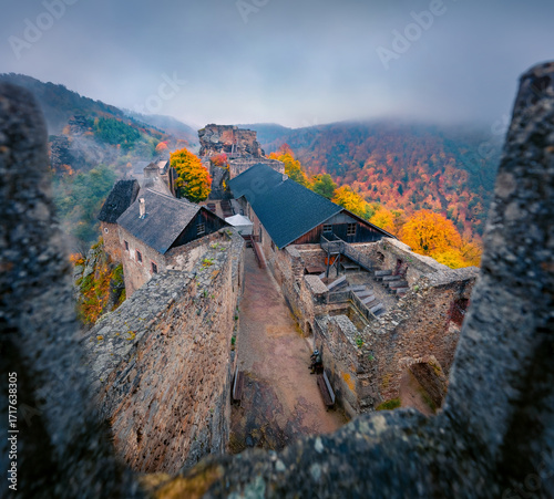 Gorgeous autmn view of Aggstein Castle among trees covered with orange and crimson leaves. Impressive morning scene of ancient stone 12th-century castle ruins on the shore of Danube river, Austria.