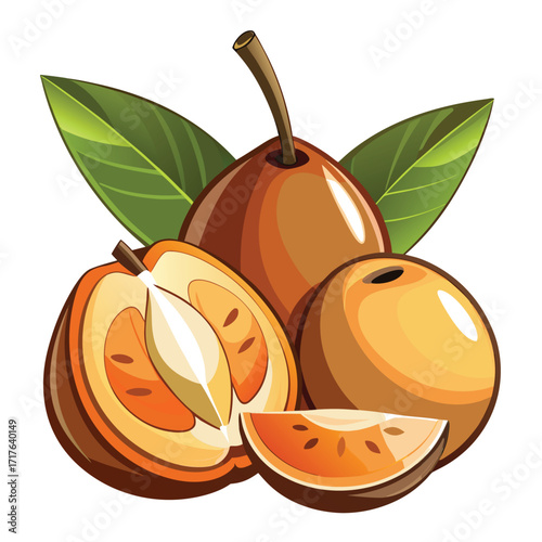 Vibrant Sapodilla Illustration: Whole and Sliced Fruits with Lush Green Leaves, Appetising and Healthy Food Stock Image