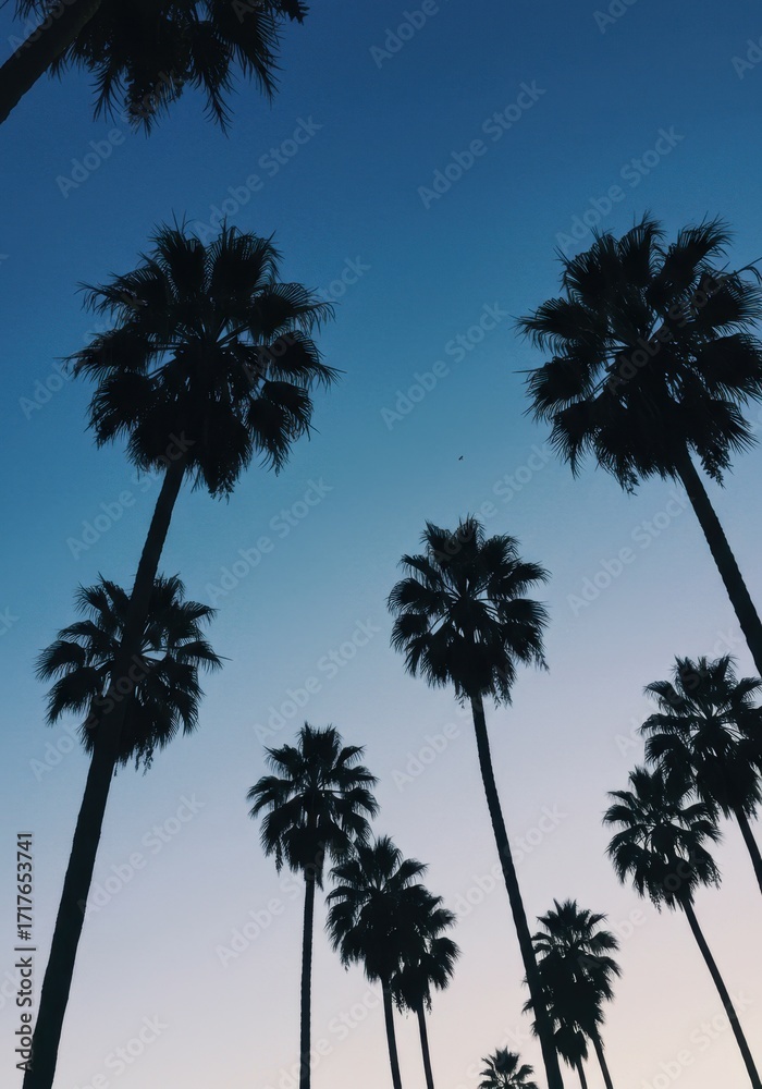 Fototapeta premium Palm Trees Against Blue Sky