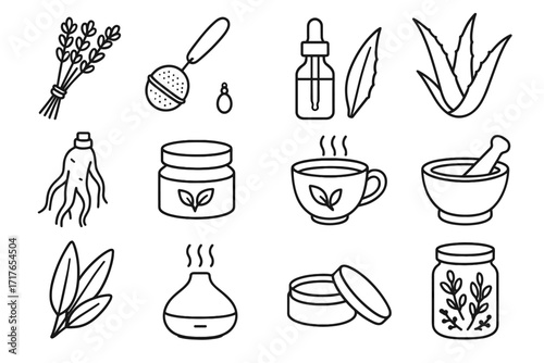 Herbal leaves sage diffuser herbs dropper wellness icon leaf essential vector icons