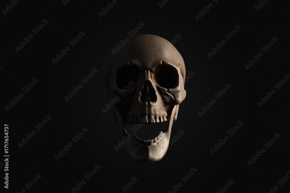 Fototapeta premium Human Skull Isolated on Black Background