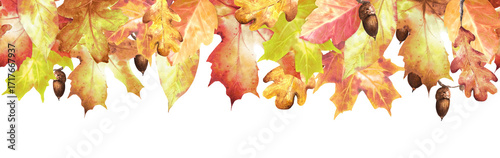 watercolor autumn leaves and acorns border clip art preview