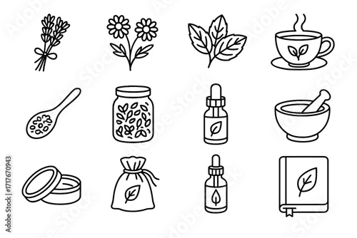 Bundle vector herbal small icons dried herbs journal linen icon flowers glass