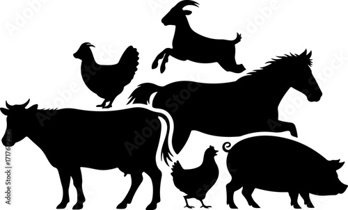 "Farm Animals Silhouette Vector Bundle"

"Domestic Farm Animal Silhouettes Collection"

"Barnyard Animals Silhouette Set"