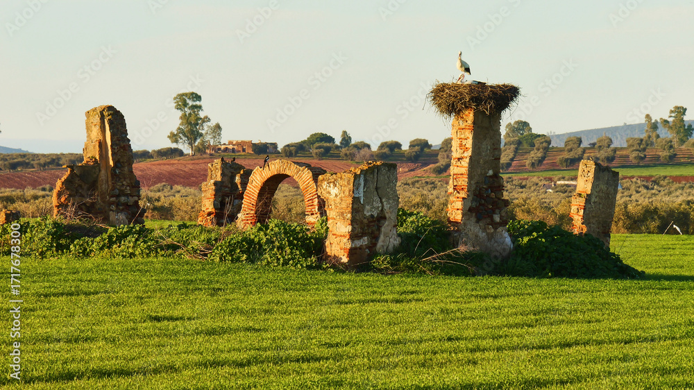 Φωτογραφία pair of white stork, Ciconia ciconia, on huge nest on part of picturesque ruin 2