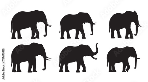 Slika na platnu Collection of six distinct elephant silhouettes in various poses