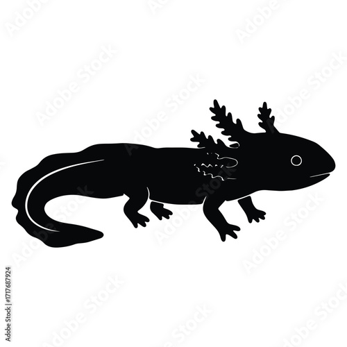 Black and white silhouette of an axolotl amphibian vector illustration