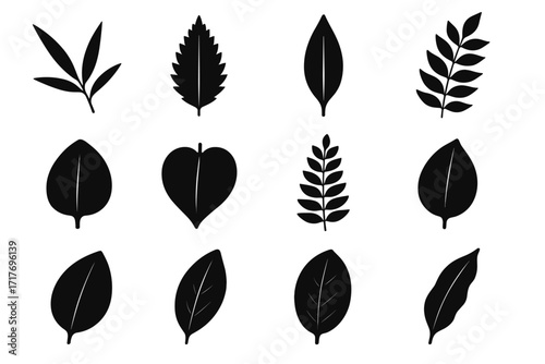 Slender outline vector shape leaf shoot curry guava icon set wavy